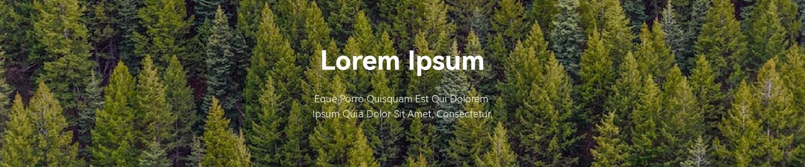 Suscribirse acrílico